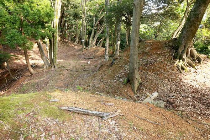 食違い虎口を外側より