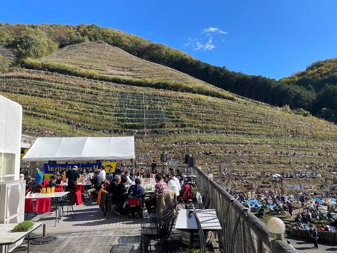 毎年開かれる収穫祭の様子