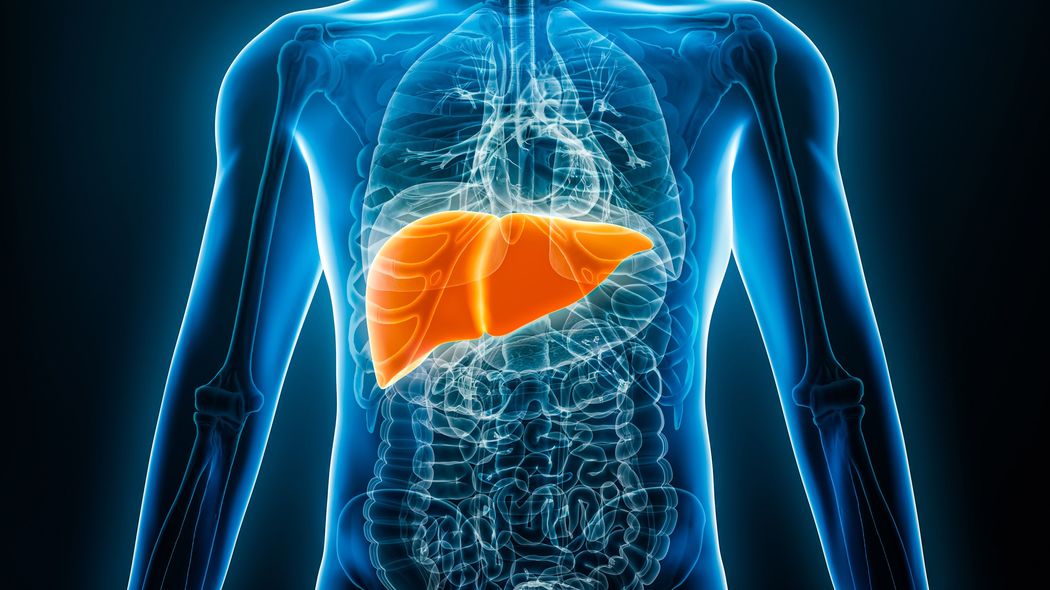 γ-GTPの数値だけでは見逃しかねない…｢肝硬変や肝がんに至る可能性もある｣40代男性に特に多い"肝臓の疾患" 肝臓を疲れさせるのはお酒だけではない
