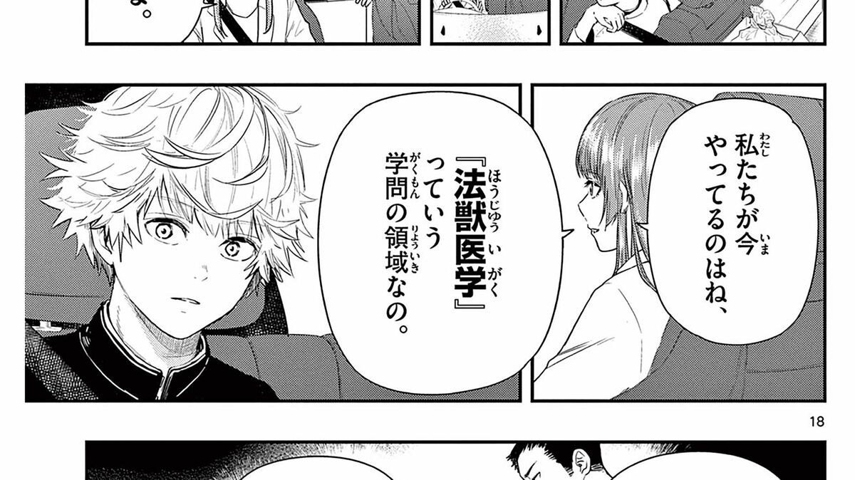 ラストカルテ -法獣医学者 当麻健匠の記憶- (5) (少年サンデー