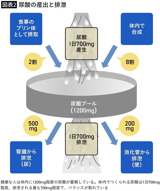【図表2】尿酸の産出と排泄