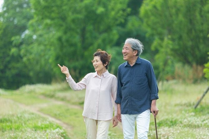公園を歩いていたら老夫婦