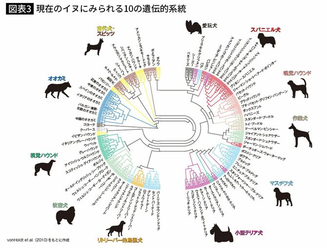 現在のイヌにみられる10の遺伝的系統