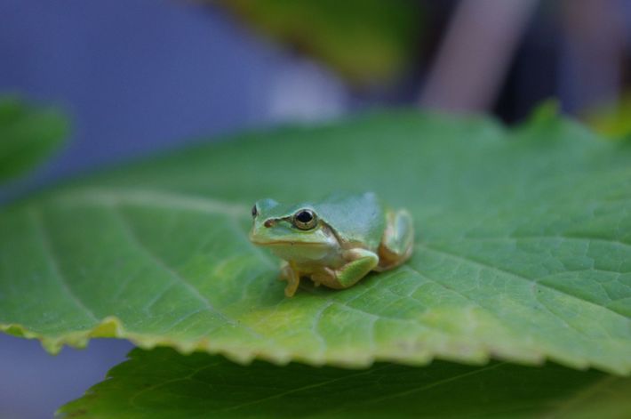 ※写真はイメージです