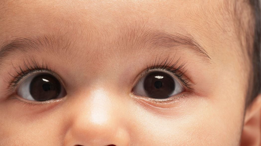 二重まぶたでも､まつ毛クルンでもない…｢カワイイ｣と本能的に思われ愛されるヒトの｢目｣の重要な条件 保護欲求をかきたてる“目”の秘密