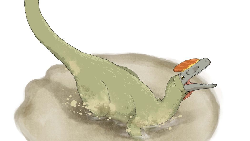 史上最大級の翼竜は大きすぎて飛べなかった…知れば知るほど切なくなる"よわい恐竜"たちの真実 化石研究でわかった｢最強生物｣の悩み多き一生