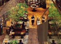 「二子玉川 蔦屋家電」1日中居ても飽きない、夢見心地な空間