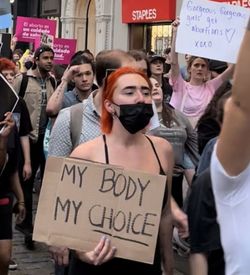 デモプラカード