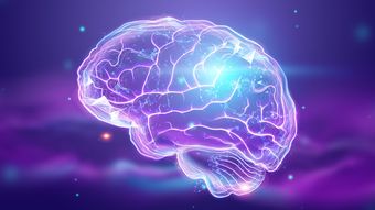 ハーバード大が突き止めた｢年をとるほど脳が活性化する条件｣