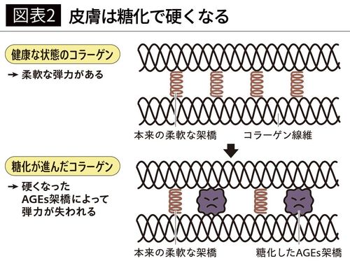 【図表2】皮膚は糖化で硬くなる