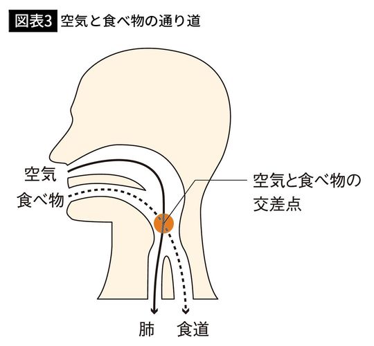 【図表3】空気と食べ物の通り道