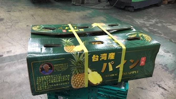 「道法スタイル」パイナップルの箱