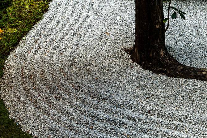 両足院・閼伽井庭