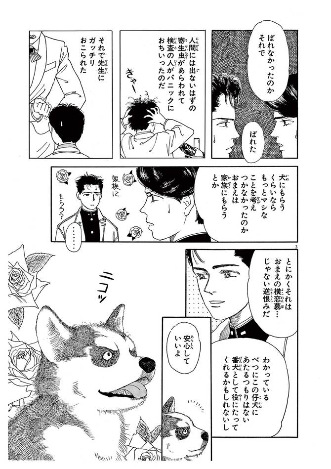 『新装版 動物のお医者さん』©佐々木倫子／小学館