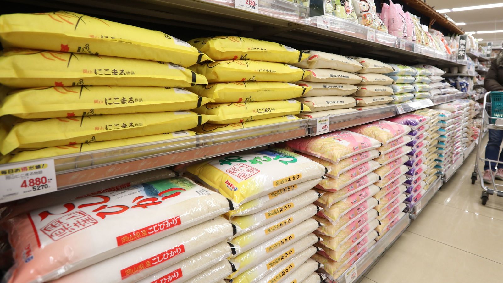 この人に任せればコメ価格は下げられる…農政の専門家が名前をあげるJA農協にメスを入れられる唯一の人物 石破内閣の中で農林族ではない農水大臣経験者
