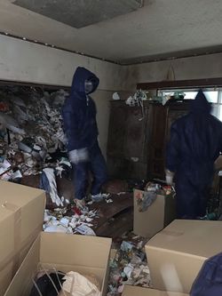 室内が片付いて間取りがわかるようになったところ。