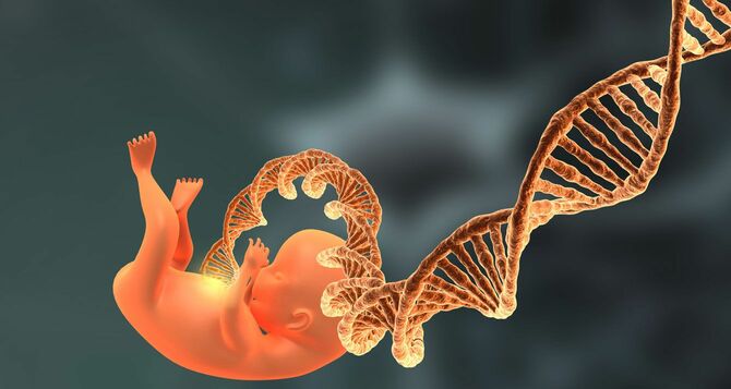 ヒトの胎児とDNAらせん構造の3Dイラスト
