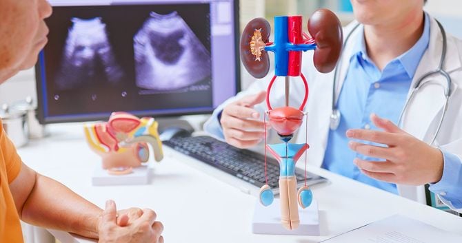 泌尿器科疾患を説明する医師