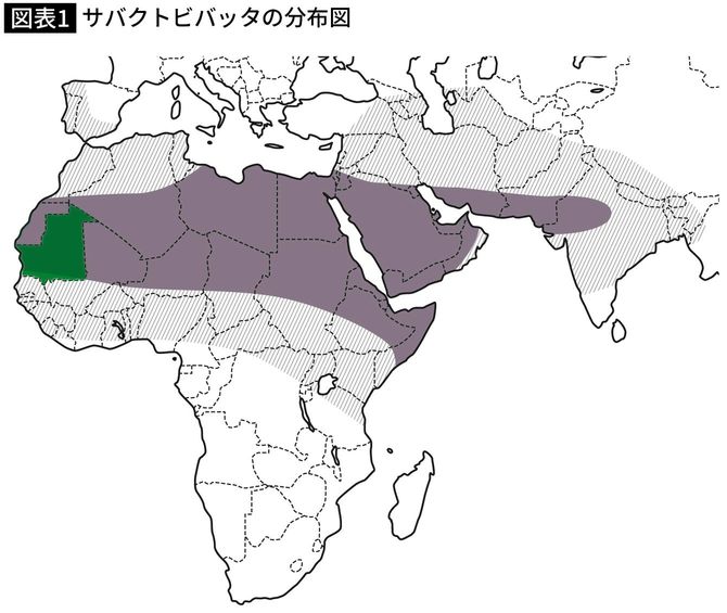 サバクトビバッタの分布図