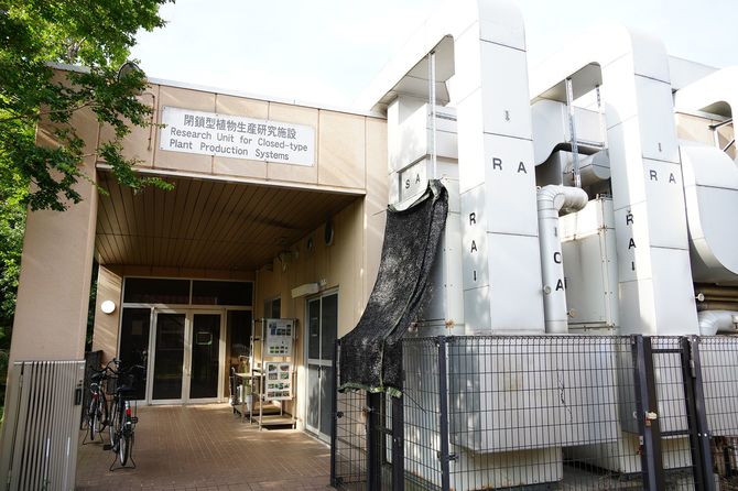 千葉県園芸学部にある閉鎖型植物生産研究施設