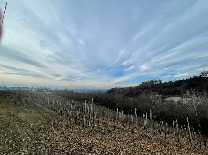 北イタリア・ピエモンテの森