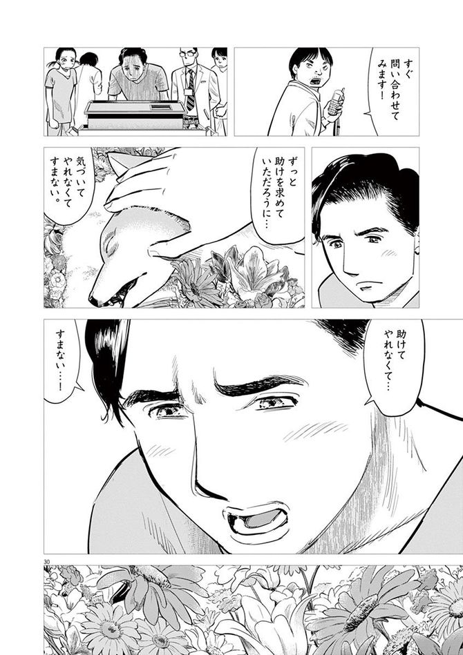 『しっぽの声』c夏緑・ちくやまきよし／小学館