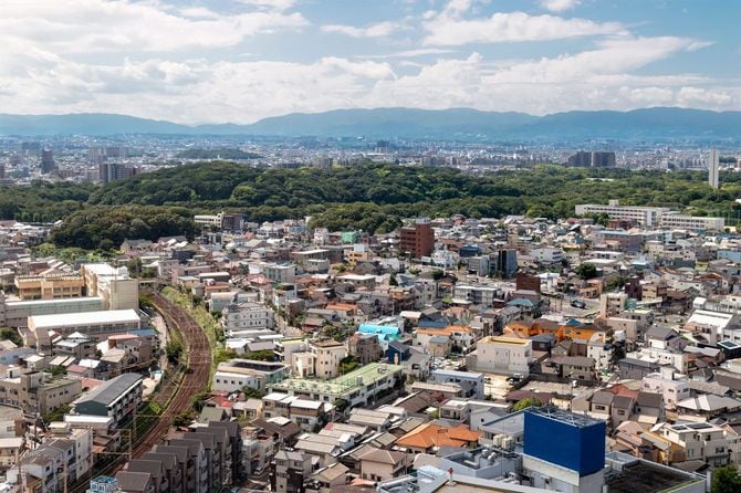 仁徳天皇陵古墳が見える景色