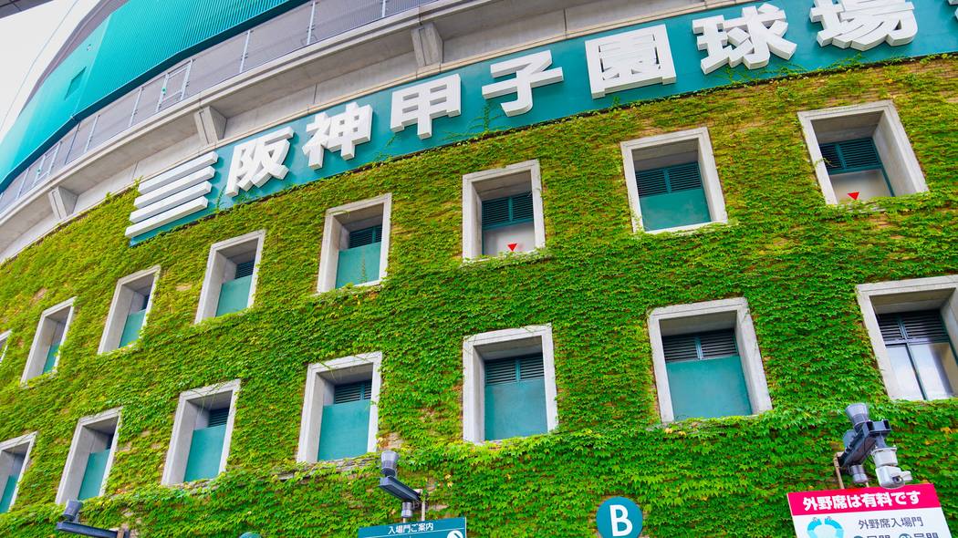 甲子園途中辞退｢広陵｣式人材は全然いらない…企業で急速に進む"体育会系離れ"を後押しするすごい強敵の存在 不条理な世界に耐え､要望に応えてくれる有能な相棒