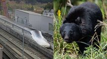 難航するリニア工事に新たに立ちはだかる｢クマの壁｣…奥山での工事長期化が招く予測不能な"リスク"