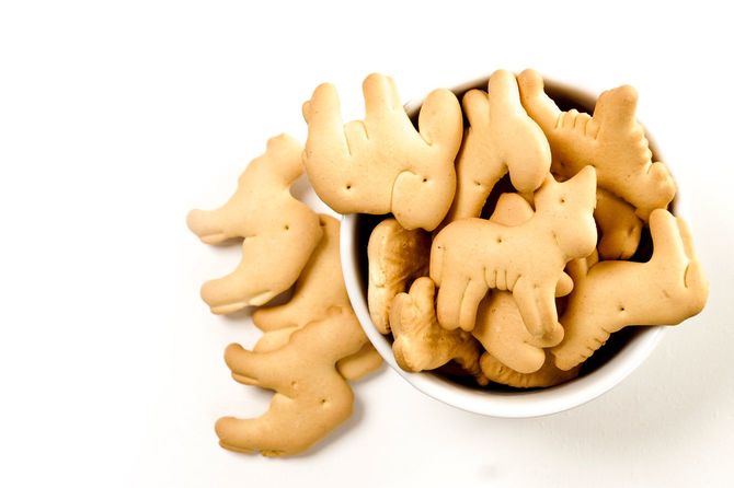 動物のビスケット