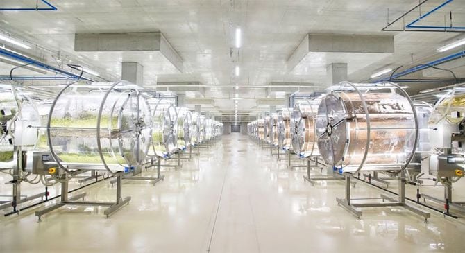 山梨県北杜市にある、ブロッコリースーパースプラウトファクトリー。国内最大規模の完全人工光型植物工場だ。
