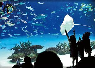 サンシャイン水族館：親子で遊べる首都圏の行列スポット【1】