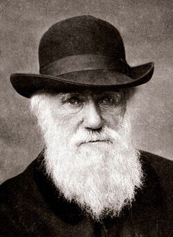 チャールズ・ダーウィンの肖像画