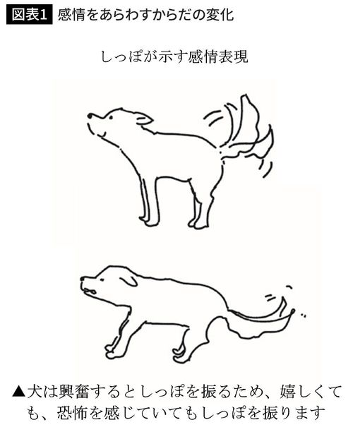 出典＝『イヌのこころがわかる本』より