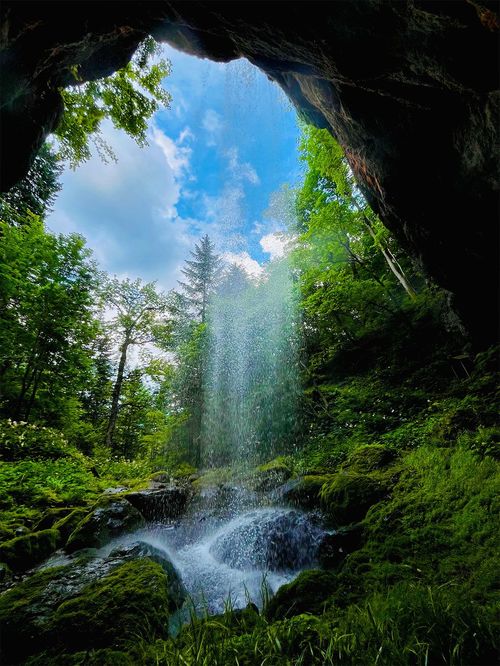 2026優秀賞「夏の森の秘密」山際裕輝さん