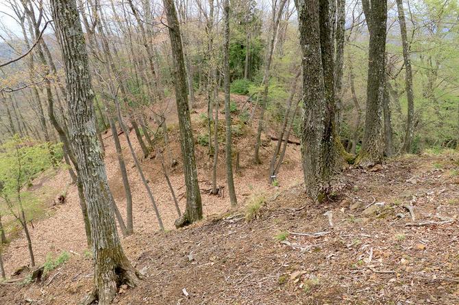 大堀切を城内側より。奥にもう一本堀切の凹みが見える