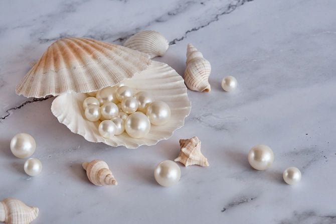 貝殻と真珠