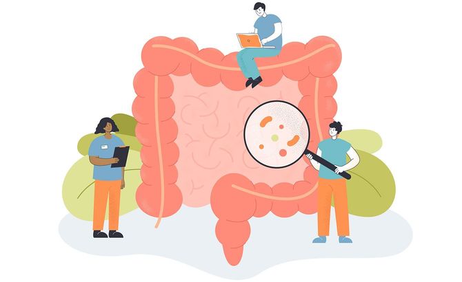 腸内をチェックする人たちのイラスト