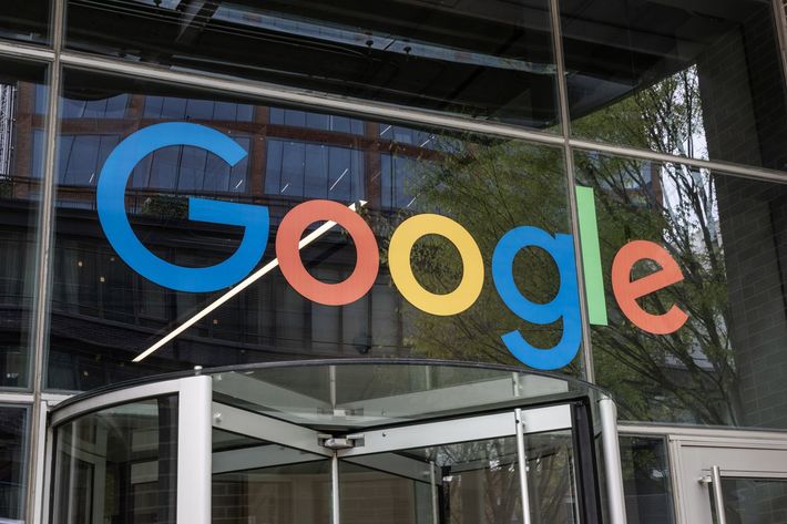 2017年には最初の卒業生を輩出し、卒業生の多くがGoogle、Microsoft、国連、マッキンゼーなどの世界的企業・機関で活躍するほか、社会起業家として独自のベンチャーを立ち上げるケースも多く見られるという（※写真はイメージです）