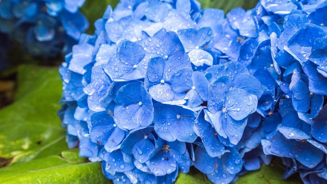 最近の梅雨は心身のバランスを崩しやすい…｢朝から体がだるい｣不調を感じる人に産業医が勧める"6月の行動" 食事では豚肉や納豆を積極的に取り入れるといい