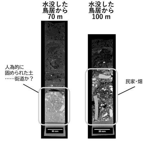 採取した湖底の堆積層サンプル・X線画像