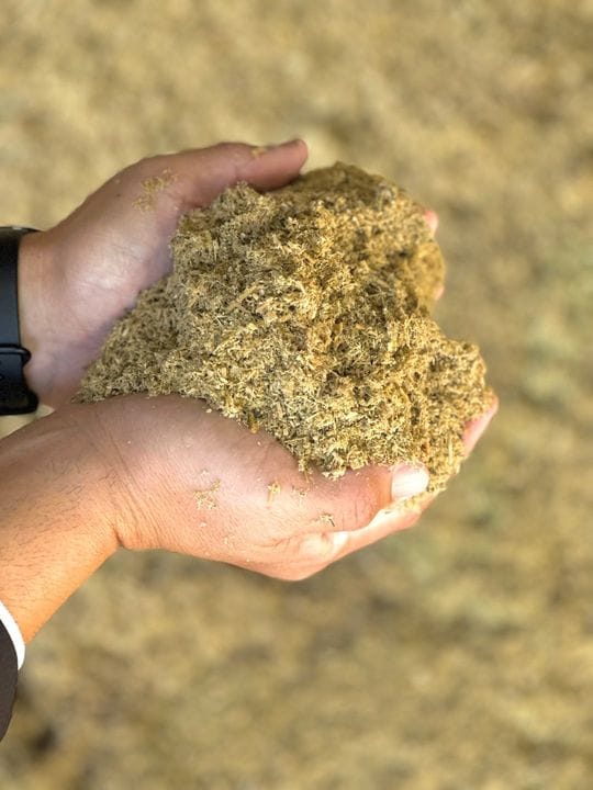 粉砕されて間もない竹。触ると温かい。