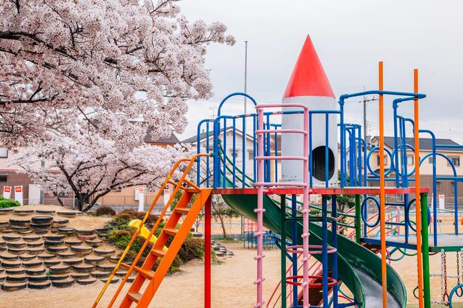 日本の公園のカラフルな遊び場と桜の花