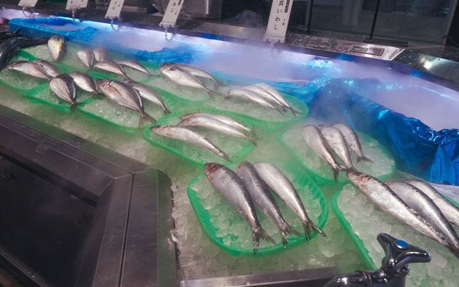 新鮮な魚
