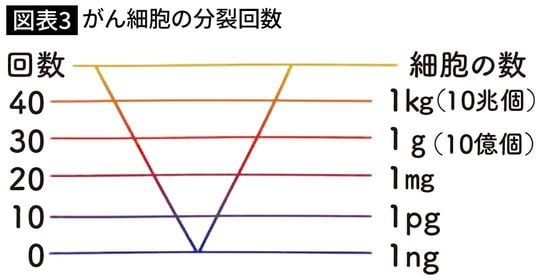 がん細胞の分裂回数