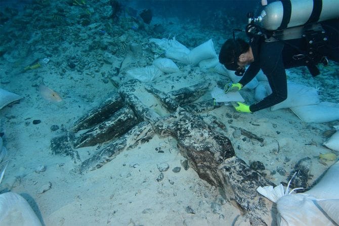 バハマでの発掘調査の様子