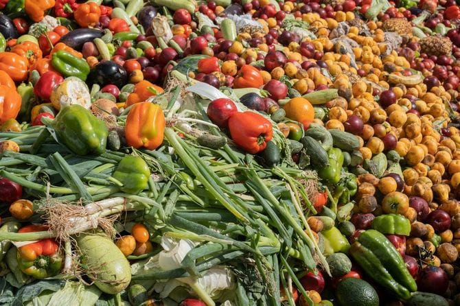 期限切れの有機バイオ廃棄物