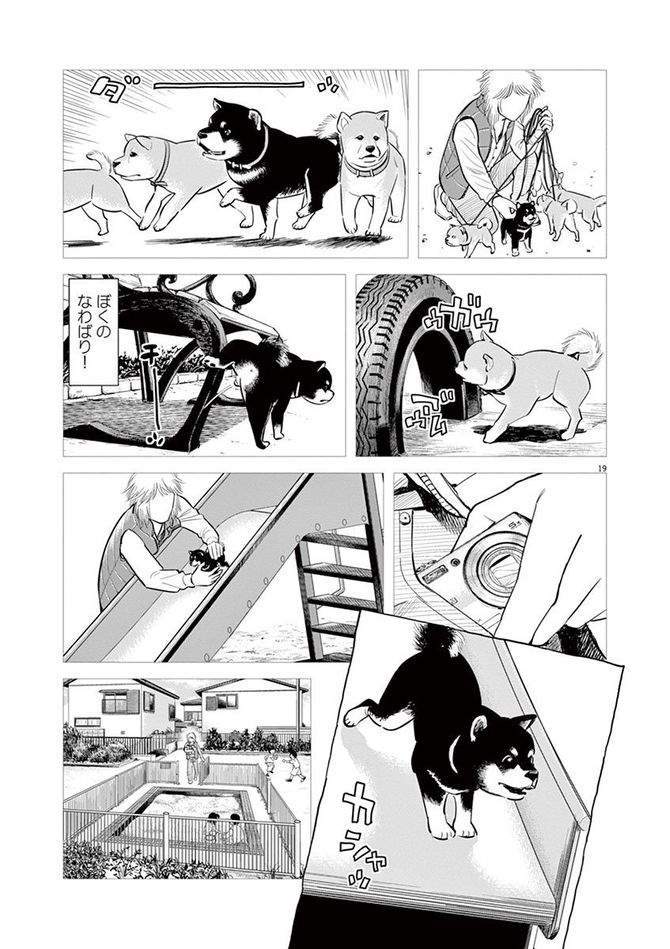 『しっぽの声』c夏緑・ちくやまきよし／小学館