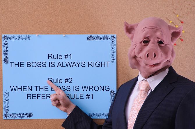 「上司は常に正しい」と主張するブタのマスクをかぶった人