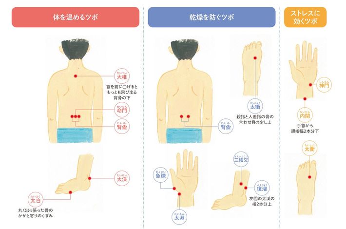 『プレジデントFamily2019冬号』より（井田やす代＝イラストレーション）